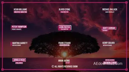 Simple Lower Thirds | After Effects Titles template preview