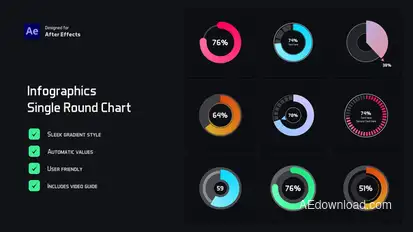 Single Round Chart Infographic Infographics template preview