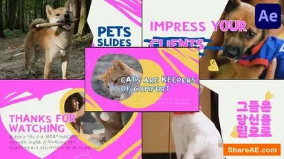 Slides Pets | After Effects Openers template preview