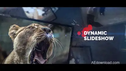 Slideshow Video Displays template preview