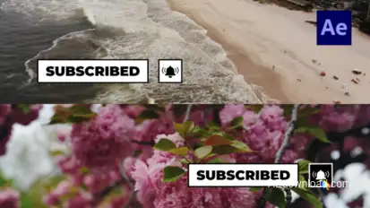 Social Media Buttons Lower Thirds /Ae Elements template preview