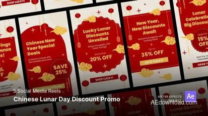 Reels - Lunar Year Festival Product Promo template preview