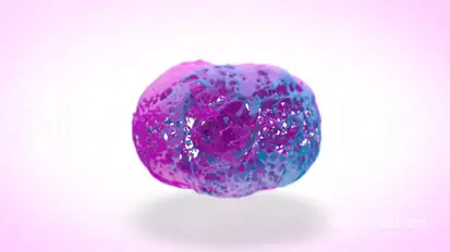 Spinning Liquid Logo Reveal Logo Stings template preview