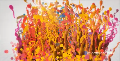 Splash Paint Logo Reveal Logo Stings template preview