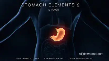Stomach Elements 2 Elements template preview