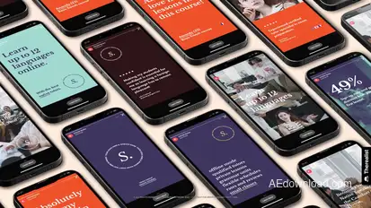 E-Learning Instagram Stories Product Promo template preview