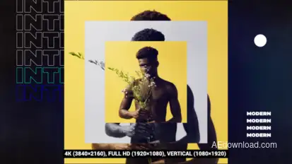 Stylish Intro Openers template preview