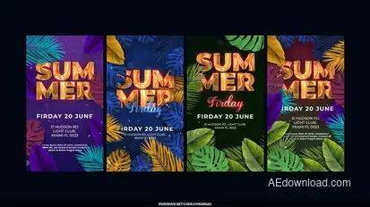 Summer Solstice Stories Video Displays template preview