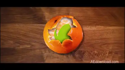 Tangerine Logo  | After Effects Template Logo Stings template preview