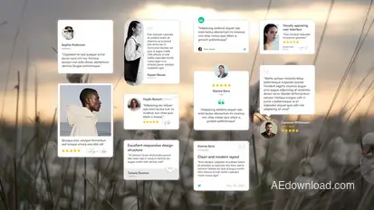 Testimonials, Reviews & Quotes - After Effects Template Elements template preview