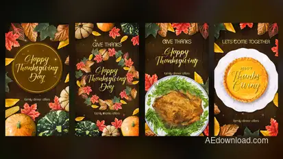 Thanksgiving Instagram Stories Openers template preview