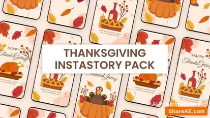 Videohive Thanksgiving Instagram Story Elements template preview