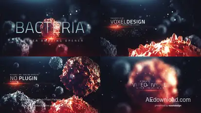 The Bacteria Infection Opener Openers template preview