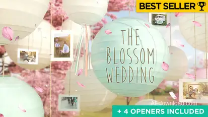 Wedding Slideshow Video Displays template preview