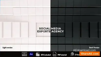 The Social Media Experts Logo Stings template preview