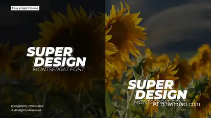 Typography Titles 1.0 | After Effects Titles template preview