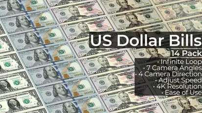 US Dollar Bills - 14 Pack Elements template preview