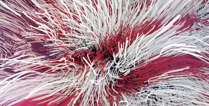 USA Awesome Sauce Logo Reveal Openers template preview