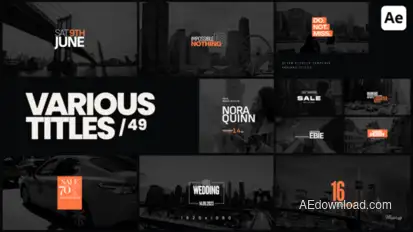 Various Titles 49 Titles template preview