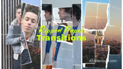 Vertical Ripped Paper Transitions Elements template preview