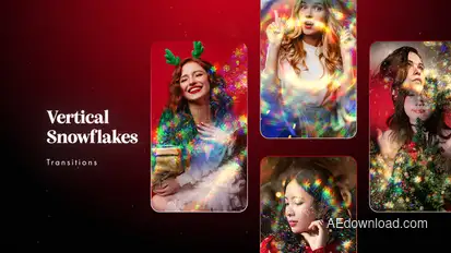 Vertical Snowflakes Transitions Elements template preview