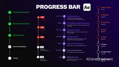 Vertical Step Progress Bars & Checklists Infographics template preview