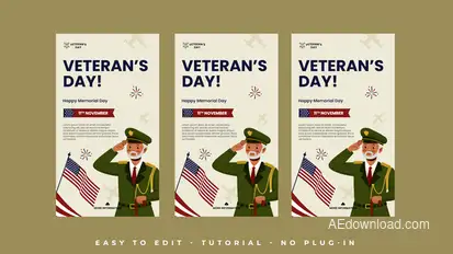 Veteran Day Instagram Stories Openers template preview
