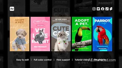 Veterinary Instagram Reels Product Promo template preview