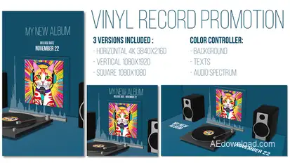 Vinyl Record Promotion Product Promo template preview