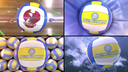 Volleyball Bumper (4 bumpers) Logo Stings template preview