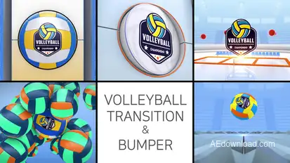 Volleyball Logo Transition & Bumper Elements template preview