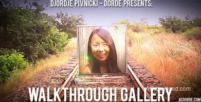 Walkthrough Gallery Video Displays template preview