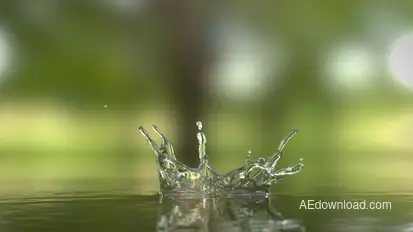 Water Drop Logo Reveal Logo Stings template preview