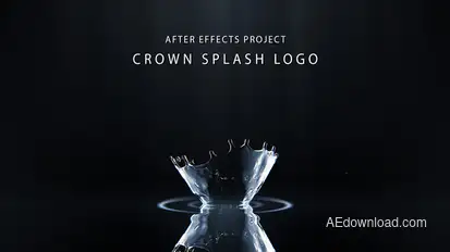 Water Splash Logo Stings template preview