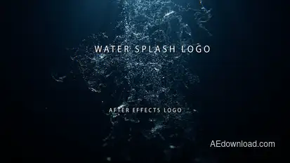 Water Splash Logo Logo Stings template preview