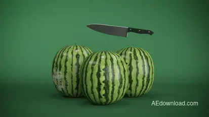 Watermelon Logo Reveal Logo Stings template preview