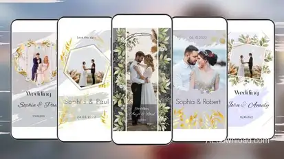 Wedding & Romantic Stories Pack Titles template preview