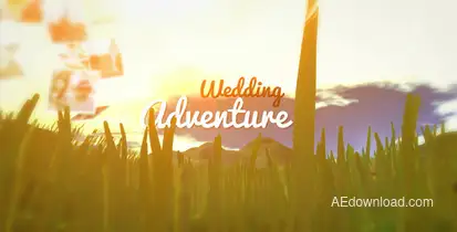 Wedding Adventure Video Displays template preview
