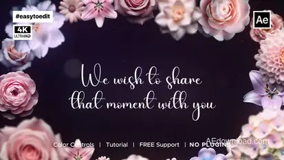 Wedding Animated Invitation Video Displays template preview