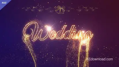 Wedding Celebrate Logo Stings template preview