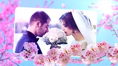 Wedding Flowers Slideshow Video Displays template preview