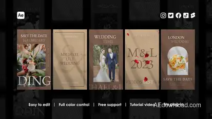 Wedding Instagram Stories Product Promo template preview