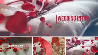 Wedding Intro Openers template preview