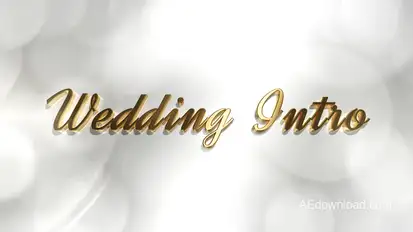 Wedding Intro Openers template preview