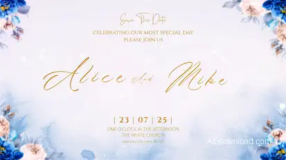 Wedding Intro Openers template preview