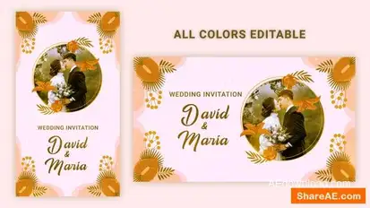 Videohive Wedding Invitation 54778462 Elements template preview