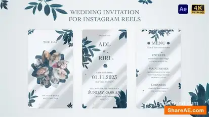 Wedding Invitation for Instagram Reel Openers template preview