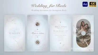 Wedding Invitation for Instagram Reels Elements template preview