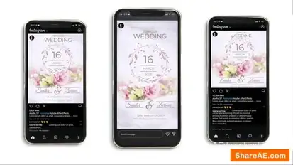 Wedding Invitation Instagram (3 in 1) Openers template preview