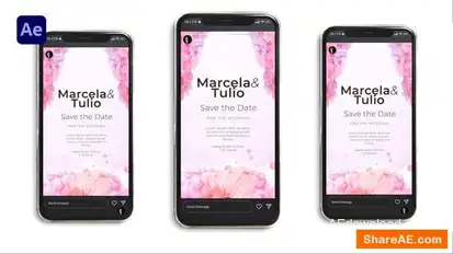 Wedding Invitation Instagram  Openers template preview